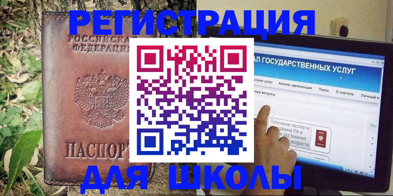 прописка для школы в Плавске